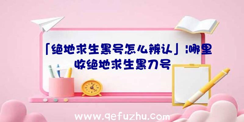 「绝地求生黑号怎么辨认」|哪里收绝地求生黑刀号